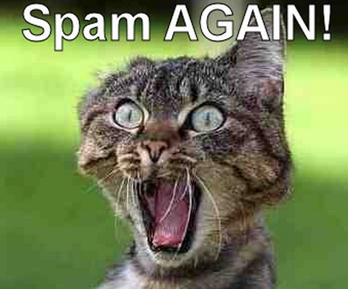 SpamCat