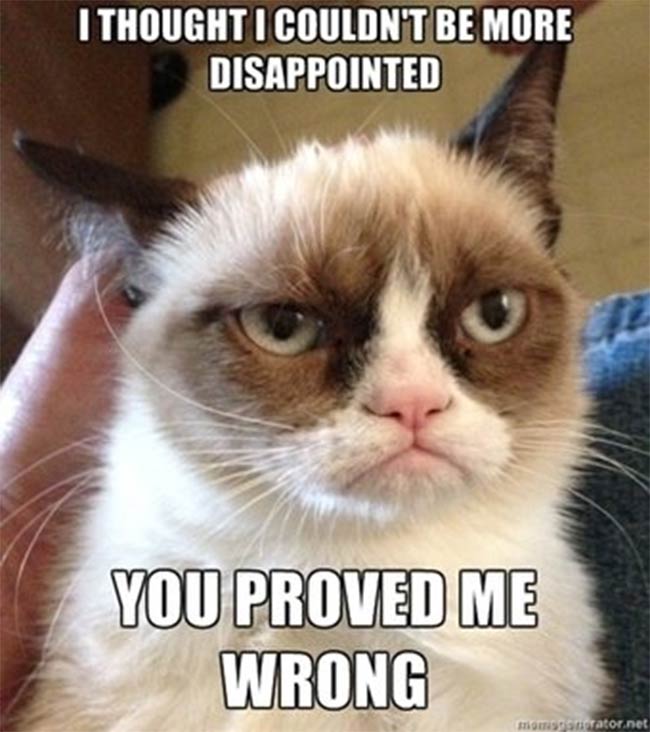 grumpy cat 1